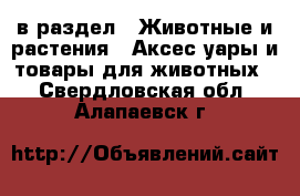  в раздел : Животные и растения » Аксесcуары и товары для животных . Свердловская обл.,Алапаевск г.